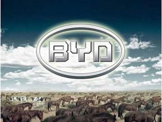 HDI厂：比亚迪打入苹果充电器供应链